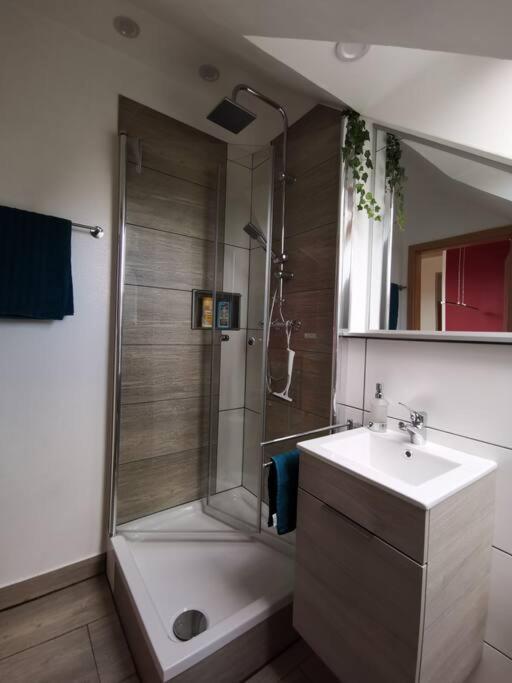 Burgpreppach Studio Und Apartment Auf Dem Pferdehof מראה חיצוני תמונה