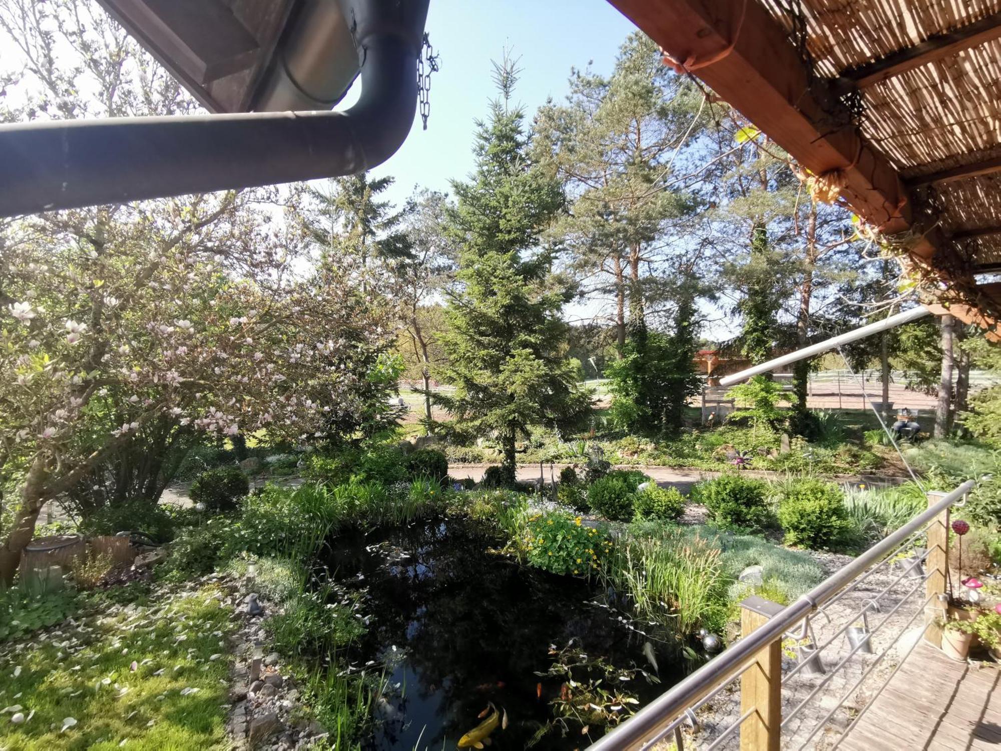 Burgpreppach Studio Und Apartment Auf Dem Pferdehof מראה חיצוני תמונה